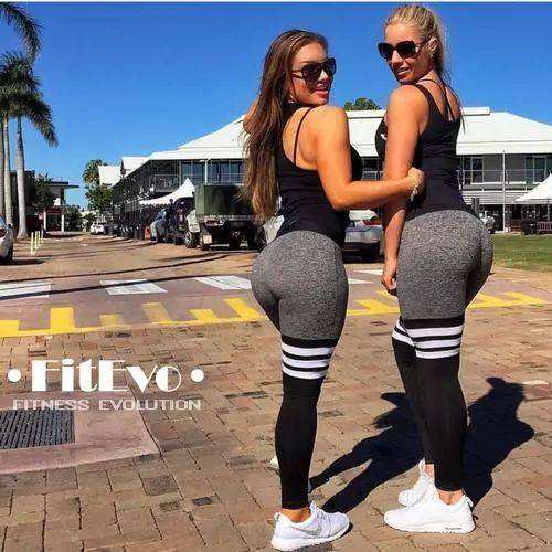 m6米乐网页版登录入口