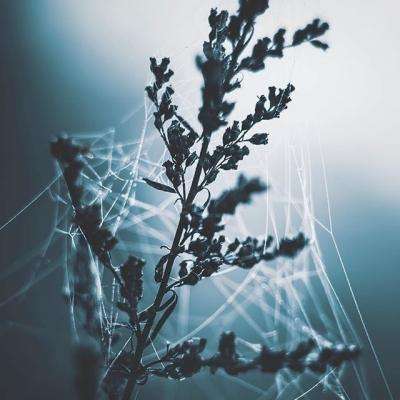 半岛·体育官方登录入口