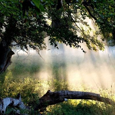 凤凰彩票welcome下载手机版