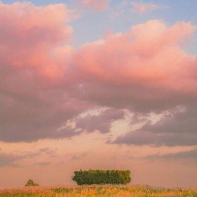 manbetx官网在线登录截图