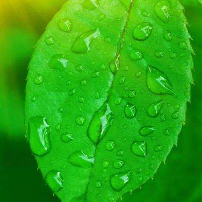 Kaiyun(云开)体育App下载手机版